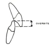 Manual Illustration